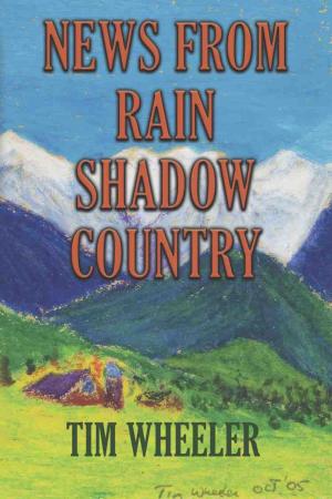 Cover of the book NEWS FROM RAIN SHADOW COUNTRY by Kerry W. Holton