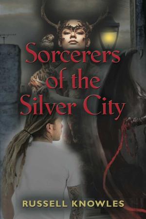 bigCover of the book Sorcerers of the Silver City by 
