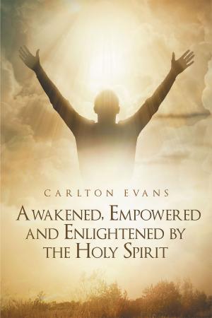 Cover of the book Awakened, Empowered and Enlightened by the Holy Spirit by Julie R. Schelling