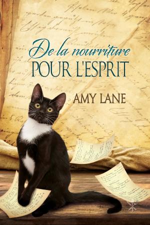 Cover of the book De la nourriture pour l'esprit by Andrew Grey