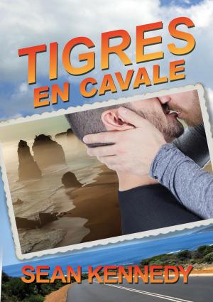 Cover of the book Tigres en cavale by August Li