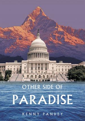 Cover of the book Other Side of Paradise by F.J.J. Delegato