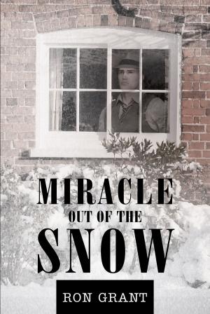 Cover of the book Miracle out of the Snow by Gabrilla Page