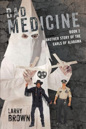 Cover of the book Bad Medicine: by Margaret Zee