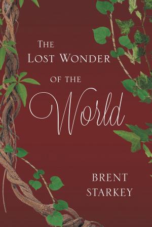 Book cover of The Lost Wonder of the World