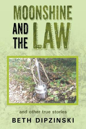 Book cover of Moonshine and the Law