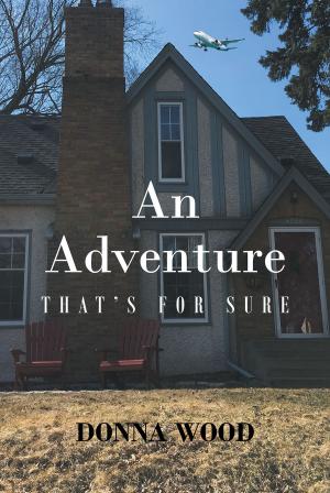 Cover of the book An Adventure by Rachelle Layne