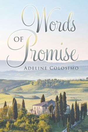 Cover of the book Words of Promise by M. H. Fox