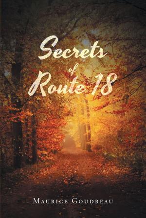 Cover of the book Secrets of Route 18 by Erica Dykes