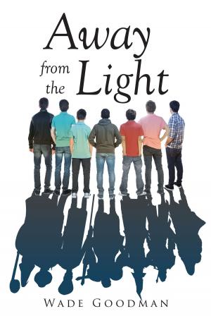 bigCover of the book Away From The Light by 