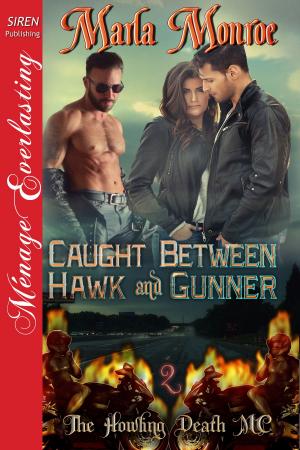Cover of the book Caught Between Hawk and Gunner by Tatum Throne
