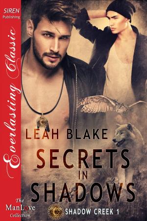 Cover of the book Secrets in Shadows by Shannon West