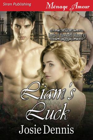 Cover of the book Liam's Luck by Marcy Jacks
