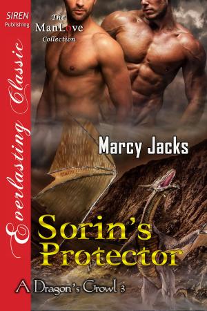 Cover of the book Sorin's Protector by Jade Astor