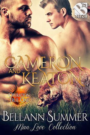 Book cover of Cameron and Keaton