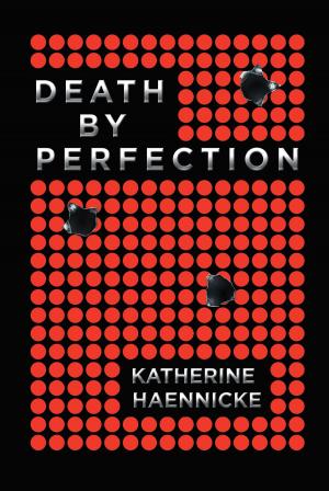 Cover of the book Death by Perfection by Mr Aswad