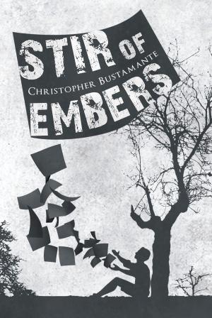bigCover of the book Stir of Embers by 