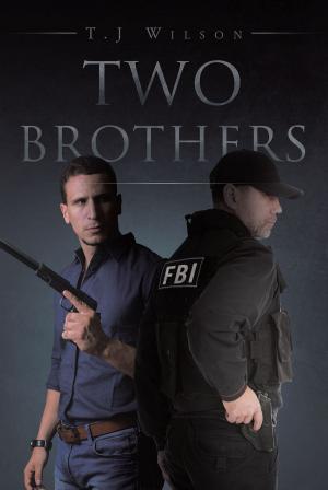 Cover of the book Two Brothers by Christopher Allen