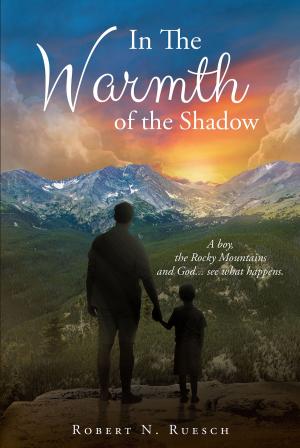 Cover of the book In The Warmth Of The Shadow by Aimeyeofori V. Felix
