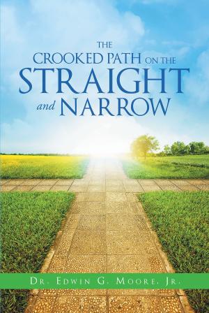 bigCover of the book The Crooked Path on the Straight and Narrow by 
