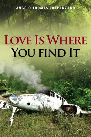 Cover of the book Love Is Where You Find It by Sam Webb