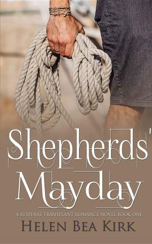 Cover of the book Shepherds' Mayday by Nanny Silvestre