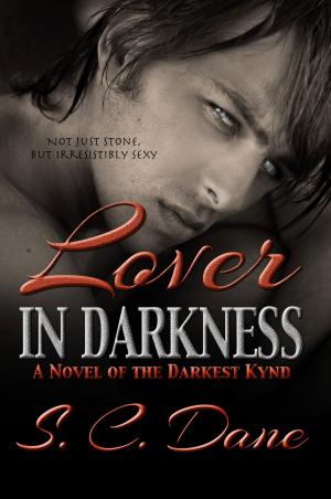 bigCover of the book Lover in Darkness by 