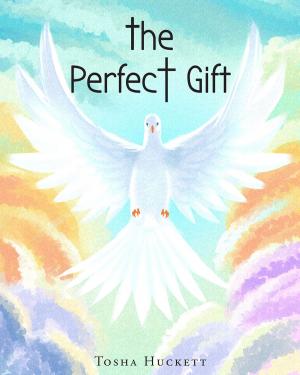 Cover of the book The Perfect Gift by C. L. Stone