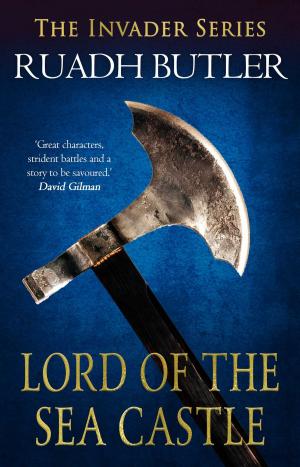 Cover of the book Lord of the Sea Castle by Catrin Collier
