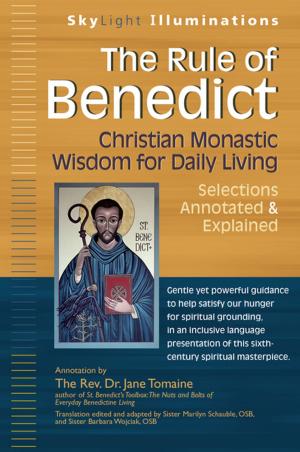 Cover of the book The Rule of Benedict by William M. Manger, MD, PhD, Jennifer K. Nelson, MS, RD, Marion J. Franz, MS, RD, CDE, Edward J Roccella, PhD, MPH