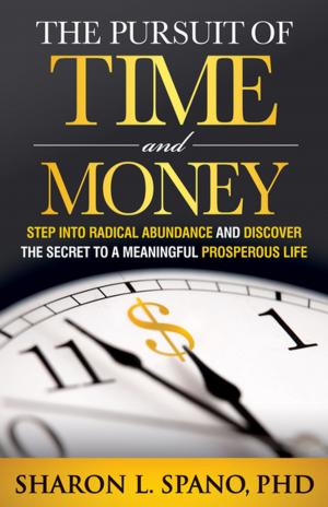 Cover of the book The Pursuit of Time and Money by Ilonka Deaton