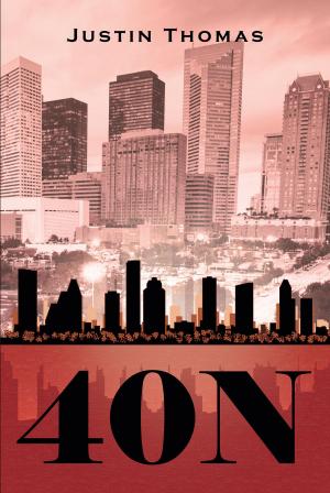 Cover of the book 40N by Janice Foster