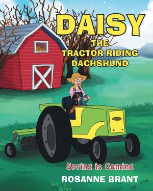 Cover of the book Daisy the Tractor Riding Dachshund by Linda Hoffman