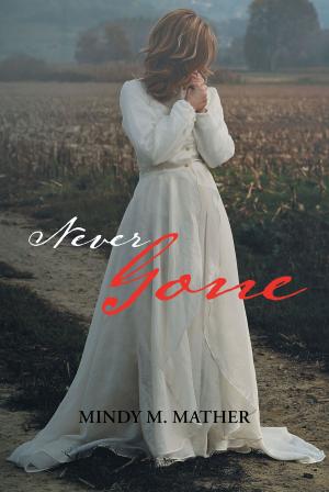 Cover of the book Never Gone by Anne d’ Auray Tracy