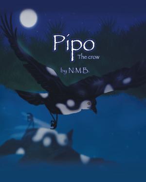 Cover of Pipo the Crow