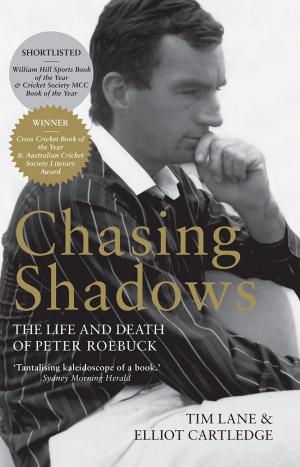 Cover of the book Chasing Shadows by David Walls