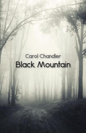 Cover of the book Black Mountain by Brendan Doyle