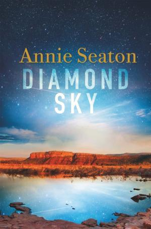 Cover of the book Diamond Sky: The Porter Sisters 3 by Joy Dettman