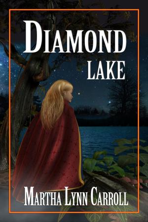 Cover of the book Diamond Lake by Sam Andebonn