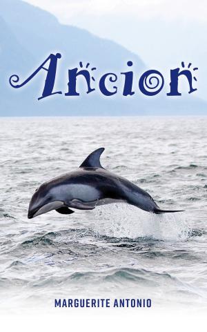 Cover of the book Ancion by Lynn Darling