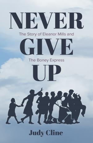 Cover of the book Never Give Up by Rhonda C. Leibel