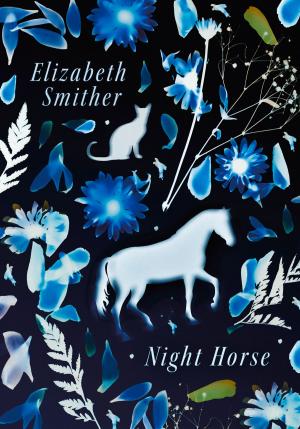 Book cover of Night Horse