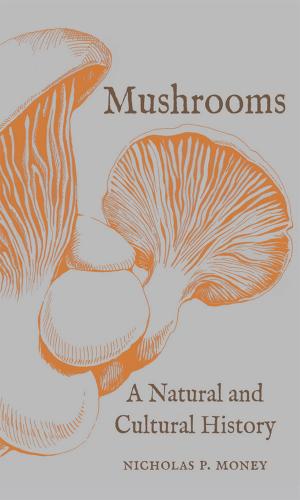 Cover of the book Mushrooms by Alan G. Jamieson