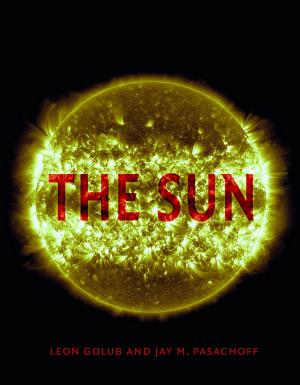 Cover of the book The Sun by François Quiviger