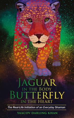 Cover of the book Jaguar in the Body, Butterfly in the Heart by Ali Walker, Dr.