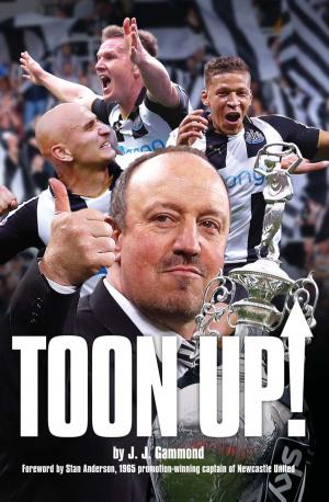 Cover of the book Toon Up by Ian Mackenzie