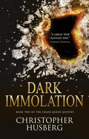 Book cover of Chaos Queen - Dark Immolation (Chaos Queen 2)