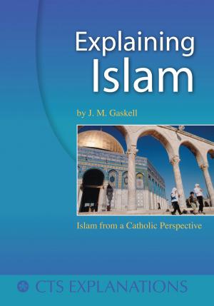 Cover of the book Explaining Islam from a Catholic Perspective by Glynn MacNiven-Johnston