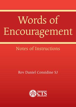 Cover of the book Words of Encouragement from Sorrow to Joy by William Lawson, SJ