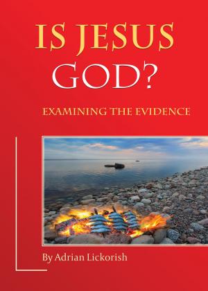 Book cover of Is Jesus God? Examining the Evidence